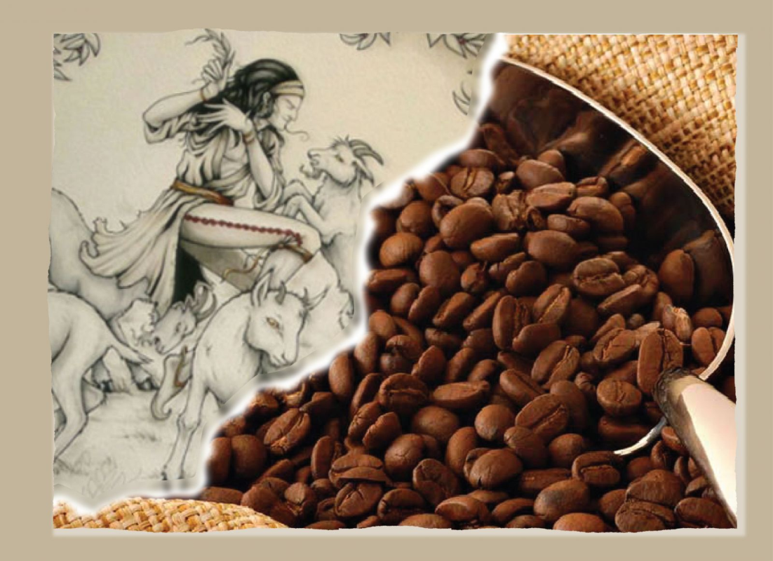 Nguồn gốc hạt cà phê